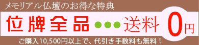 �ʔv �S�i ��������