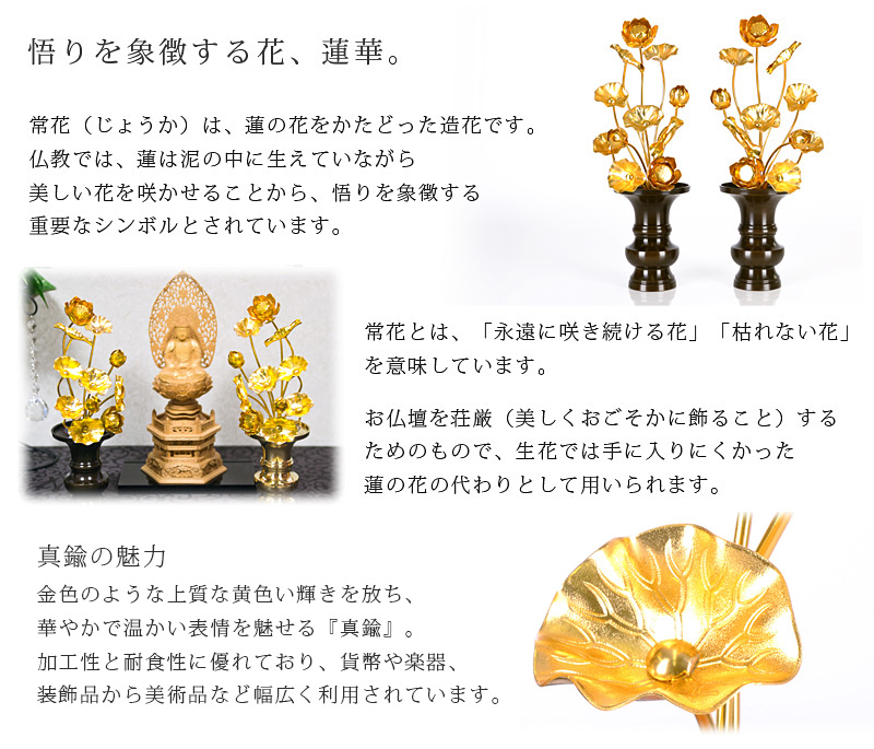 真鍮常花 11本立 金色 商品説明