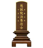 天音 ダークグリーン