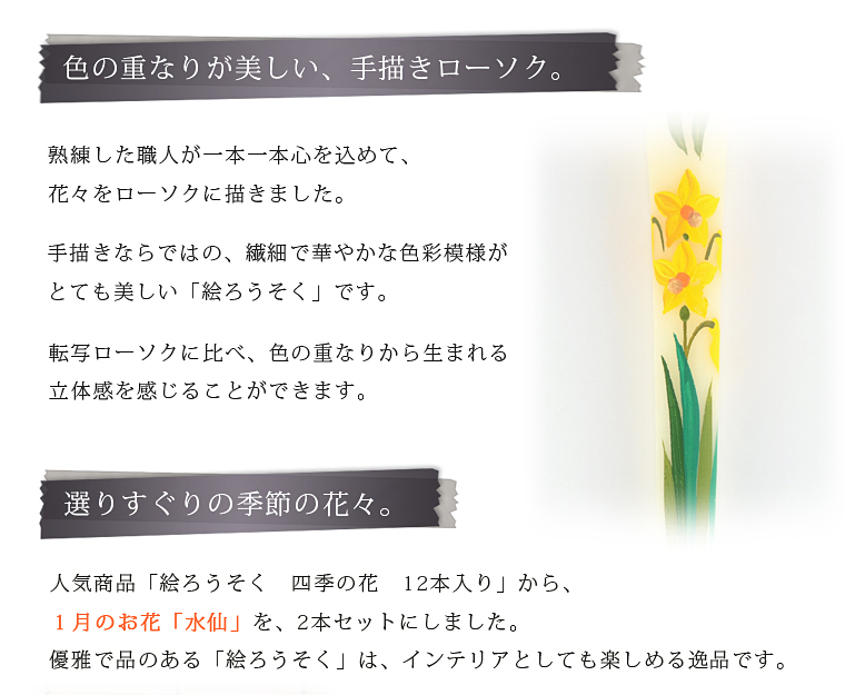 絵ろうそく 【1月水仙（手描き）3号】
