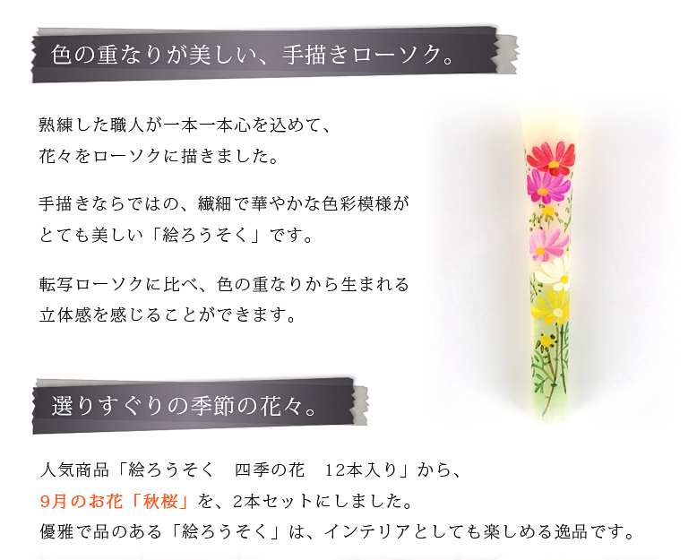 絵ろうそく  【9月秋桜（手描き）3号】
