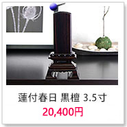 蓮付春日 黒檀 3.5寸