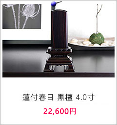 連付春日 黒檀 4.0寸