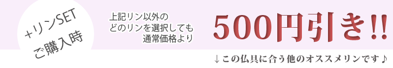 ＋リンSETご購入時 500円引き！