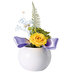 プリザーブドフラワー 陶器付 花来（かこ）サフランイエロー