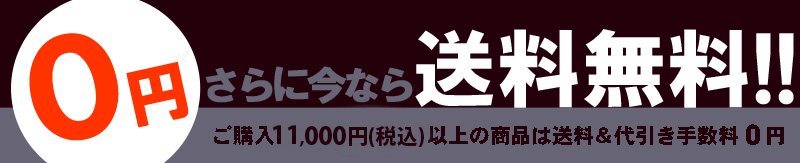 さらに今なら送料無料