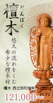 檀木 西立弥陀如来像