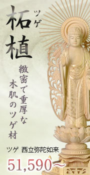 ツゲ 西立弥陀如来像