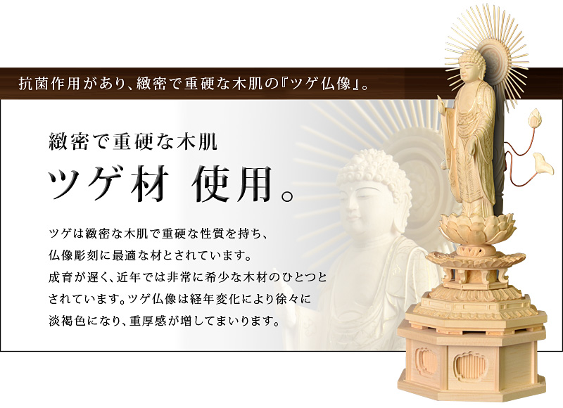 ツゲ『東立弥陀如来像』』オススメポイント