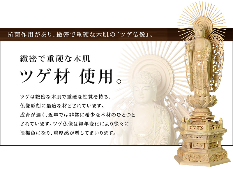 ツゲ『西立弥陀如来像』』オススメポイント