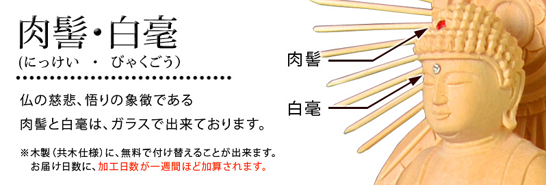 肉髻・白毫