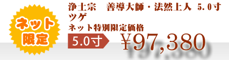 ネット特別限定価格 \97,380