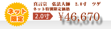 ネット特別限定価格 \46,670
