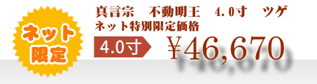 ネット特別限定価格 \46,670