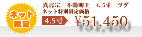ネット特別限定価格 \51,450