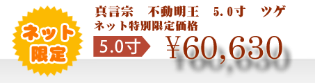 ネット特別限定価格 \60,630