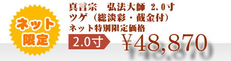 ネット特別限定価格 \48,870