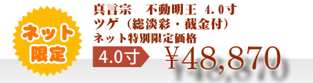 ネット特別限定価格 \48,870