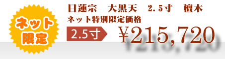 ネット特別限定価格 \215,720