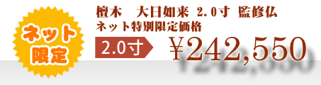 ネット特別限定価格 \242,550