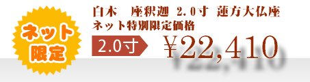 ネット特別限定価格 \22,410