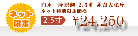 ネット特別限定価格 \24,250