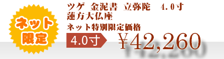 ネット特別限定価格 \42,260