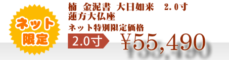 ネット特別限定価格 \55,490