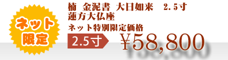 ネット特別限定価格 \58,800