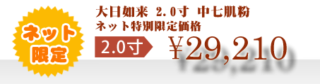 ネット特別限定価格 \29,210