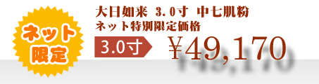 ネット特別限定価格 \49,170