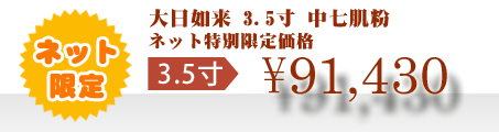ネット特別限定価格 \91,430