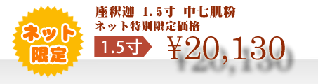 ネット特別限定価格 \20,130