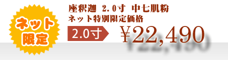 ネット特別限定価格 \22,490