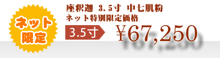 ネット特別限定価格 \67,250
