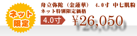ネット特別限定価格 \26,050