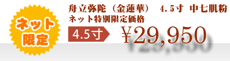 ネット特別限定価格 \29,950
