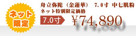 ネット特別限定価格 \74,890
