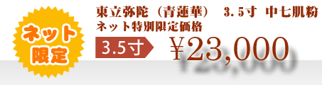 ネット特別限定価格 \23,000