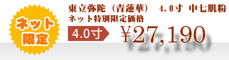 ネット特別限定価格 \27,190
