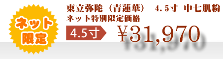 ネット特別限定価格 \31,970