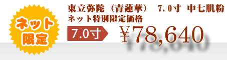 ネット特別限定価格 \78,640