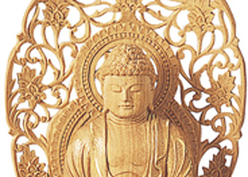 おすすめポイント