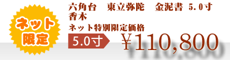 ネット特別限定価格 \110,800