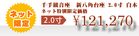 ネット特別限定価格 \121,270