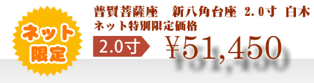 ネット特別限定価格 \51,450