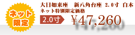ネット特別限定価格 \47,260