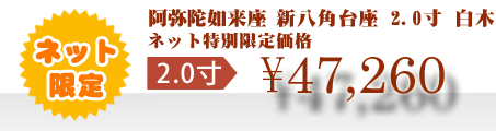 ネット特別限定価格 \47,260