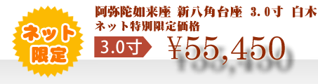 ネット特別限定価格 \55,450