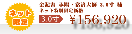 ネット特別限定価格 \156,920